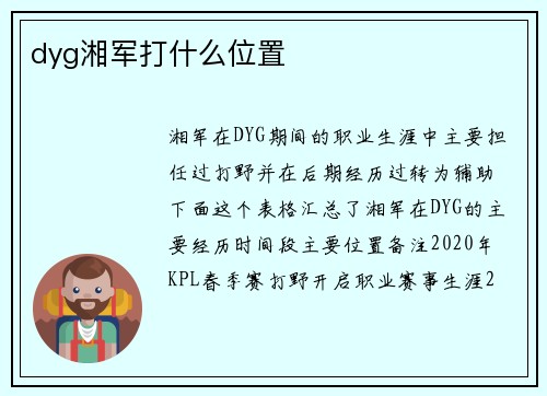 dyg湘军打什么位置